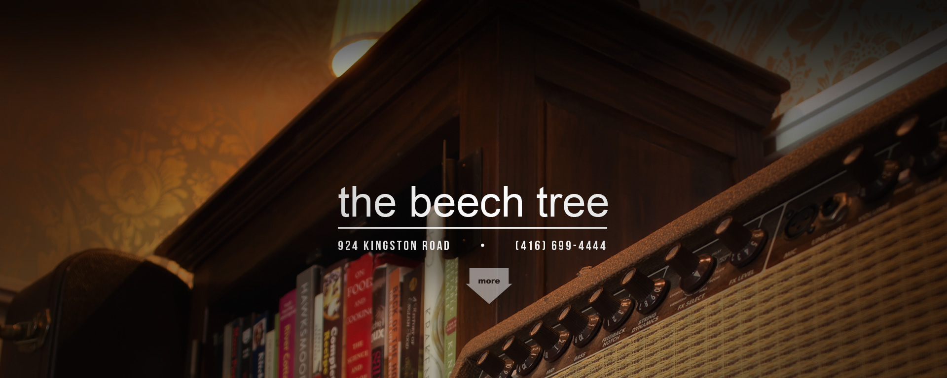 contact – the beech tree